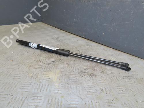 tailgate-lift-support-citroen-c1-ii-pa_-ps_-2014-2015-2016-2017-2018-2019-2020-2021-31056193 main image