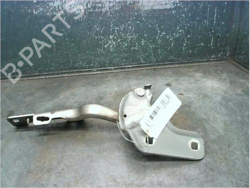 Used Hinge/Door check strap RENAULT CLIO III (BR0/1, CR0/1) 1.5 dCi (C/BR0G, C/BR1G) (68 hp) 14873262