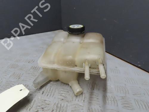 Expansion tank FORD C-MAX (DM2)  | BP19790949C120