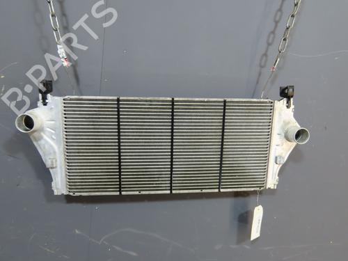 Used Other RENAULT LAGUNA II (BG0/1_) [2001-2007]  19079749