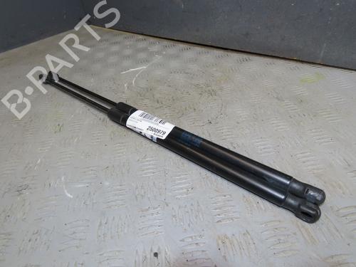Used Tailgate lift support Tailgate lift support SKODA OCTAVIA II (1Z3) 1.9 TDI (105 hp) 39966819 39966819