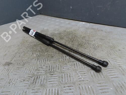 Used Tailgate lift support RENAULT MEGANE IV Grandtour (K9A/M/N_) 1.5 Blue dCi 115 (K9A6) (116 hp) 29759775