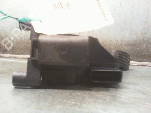 Pedal FIAT PANDA (312_, 319_) 1.2 (312PXA1A) | BP11209608I4 