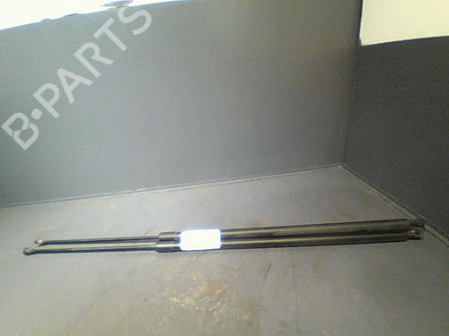 Used Tailgate lift support RENAULT KANGOO / GRAND KANGOO II (KW0/1_) 1.5 dCi 85 (KW0K, KW0L, KW0B) (86 hp) 14873720