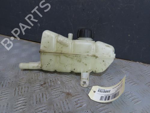 Ekspansjonstank RENAULT KANGOO III MPV Blue dCi 95 (KJAB) (95 hp) 30332555