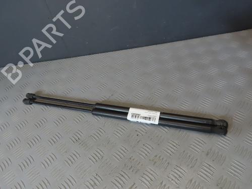 Used Tailgate lift support PEUGEOT 1007 (KM_) 1.4 HDi (68 hp) 29622547