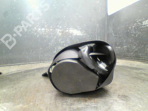 Rear right belt tensioner RENAULT SCÉNIC III (JZ0/1_) 1.9 dCi (JZ0J, JZ1J, JZ1K, JZ1S) | BP10762889C90 