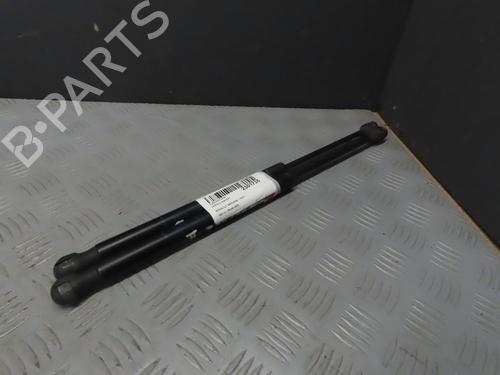 Tailgate lift support RENAULT MEGANE II (BM0/1_, CM0/1_)  | BP20710723C138 