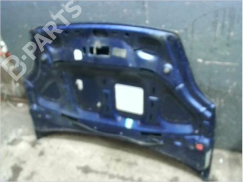 Hood FIAT GRANDE PUNTO (199_) 1.4 (199AXB11, 199AXB1A, 199BXB1A, 199AXL1A) | BP12066526C1