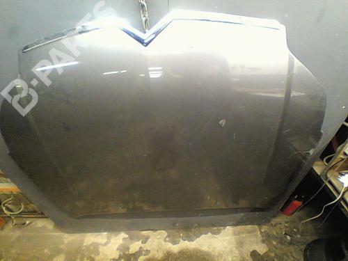 Used Hood CITROËN C5 II (RC_) 2.2 HDi (RC4HXE) (133 hp) 10763962