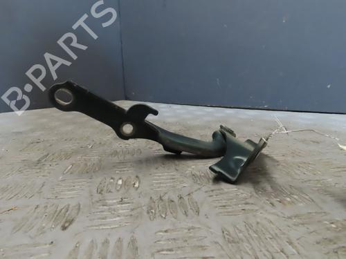Hinge/Door check strap TOYOTA LAND CRUISER PRADO (_J12_)  | BP19528815C146 