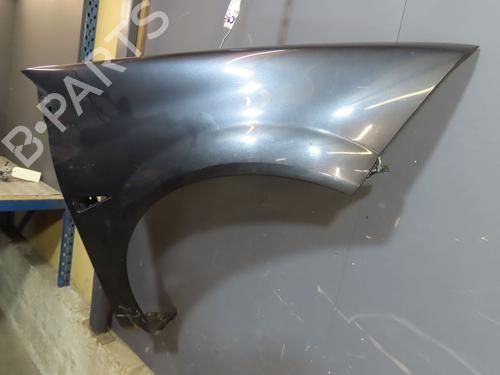 Right front fenders RENAULT MEGANE II Estate (KM0/1_)  | BP19025213C42