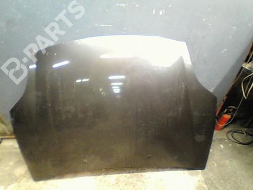Used Hood FIAT BRAVO II (198_) 1.4 (198AXA1B) (90 hp) 11211924