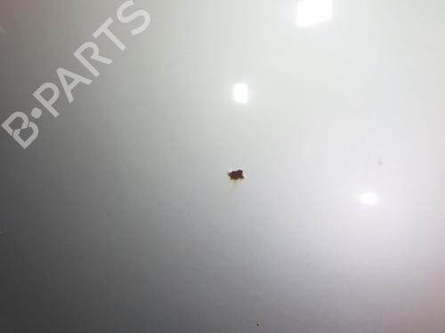 Hood VW GOLF V (1K1)  | BP23114561C1 