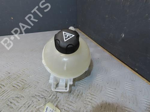 Used Expansion tank DS DS 4 II (FR_, FB_, F3_, FP_) BlueHDi 130 (FBYHZT) (130 hp) 29759690