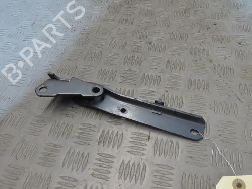 Hinge/Door check strap CITROËN C6 (TD_) 2.2 HDi | BP23114596C146