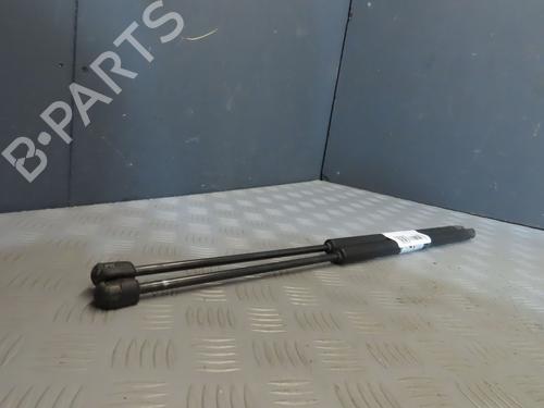 Tailgate lift support PEUGEOT 1007 (KM_) 1.4 HDi | BP29622547C138 