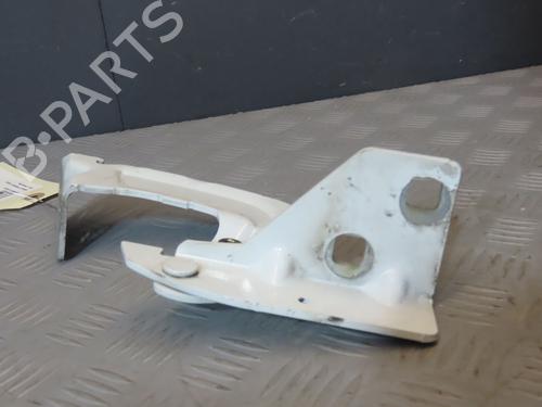 Hinge/Door check strap RENAULT KANGOO Express (FC0/1_)  | BP20695769C146 