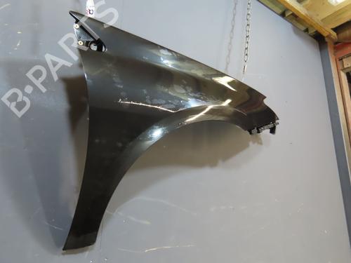 Right front fenders RENAULT LAGUNA III (BT0/1) 1.5 dCi (BT00, BT0A, BT0T, BT1J) | BP19025220C42 