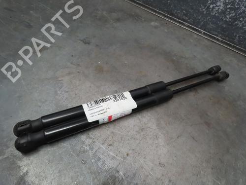 Tailgate lift support DACIA DUSTER (HS_) 1.5 dCi 4x4 (HSMC, HSMD) | BP17134324C138 