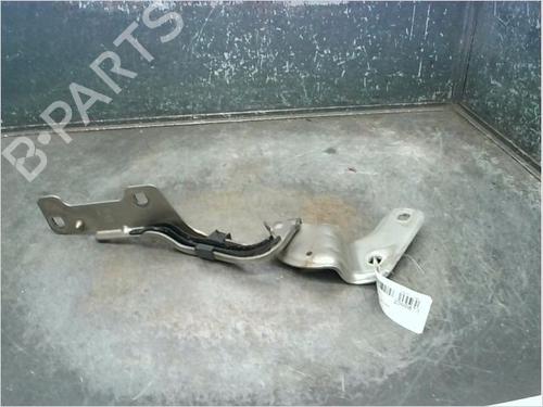 Used Hinge/Door check strap RENAULT CLIO III (BR0/1, CR0/1) 1.5 dCi (C/BR0G, C/BR1G) (68 hp) 14873248
