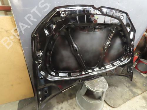 Used Hood VW POLO IV (9N_, 9A_) 1.4 TDI (70 hp) 17067799