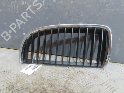 Grille BMW 3 (E90) 320 d | BP29985900C40