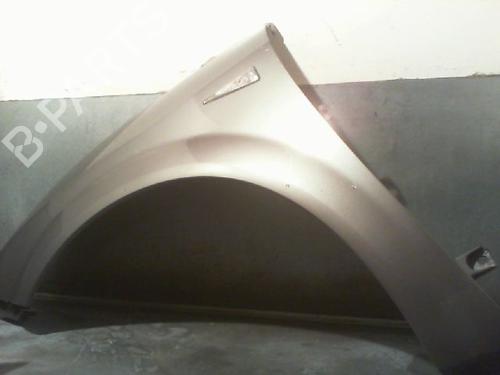 Used Left front fenders RENAULT SCÉNIC II (JM0/1_) 1.9 dCi (JM0G, JM12, JM1G, JM2C) (120 hp) 11211835