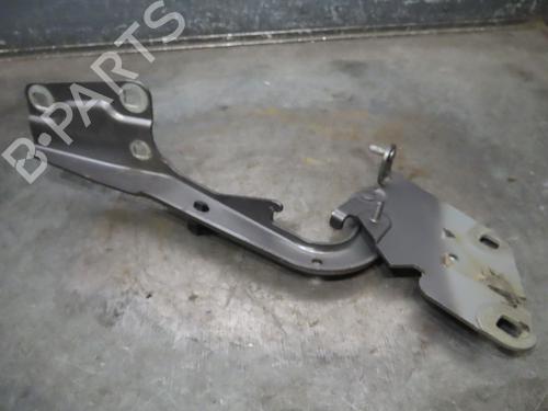 Used Hinge/Door check strap RENAULT MEGANE III Hatchback (BZ0/1_, B3_) 1.5 dCi (86 hp) 16083858