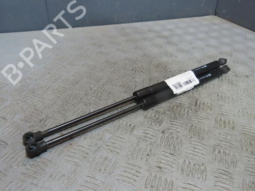 Tailgate lift support RENAULT CLIO IV (BH_) 1.5 dCi 75 | BP27470996C138 