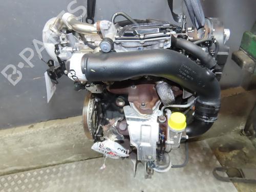 Used Engine Engine RENAULT SCÉNIC III (JZ0/1_) 1.9 dCi (JZ0J, JZ1J, JZ1K, JZ1S) (131 hp) 34176103 34176103