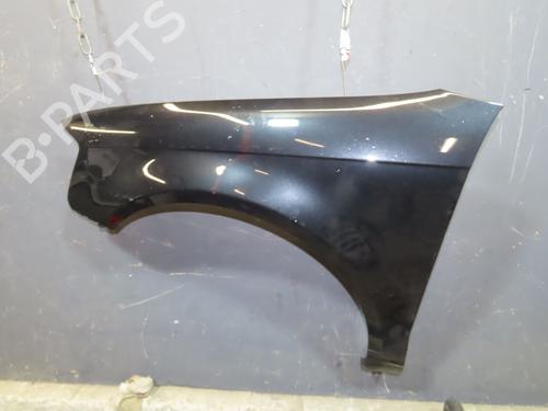 Left front fenders AUDI A3 Sportback (8PA) 1.9 TDI | BP24576739C41