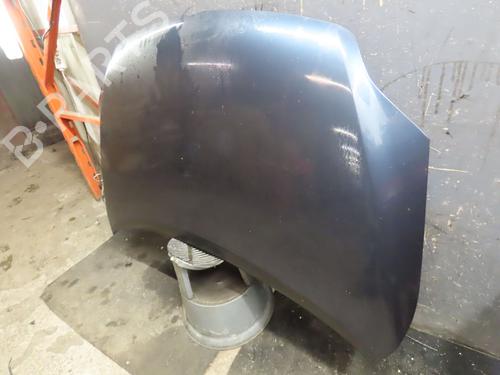 Hood VW GOLF PLUS V (5M1, 521) 1.9 TDI | BP16973040C1 