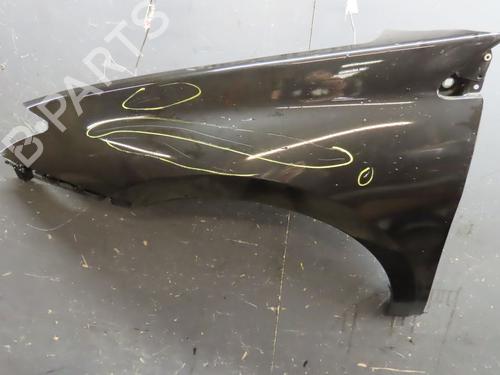 Used Left front fenders RENAULT LAGUNA III (BT0/1) 1.5 dCi (BT00, BT0A, BT0T, BT1J) (110 hp) 16832838