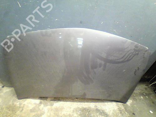Hood RENAULT MEGANE II (BM0/1_, CM0/1_) 1.9 dCi (BM0G, CM0G) | BP23114532C1 