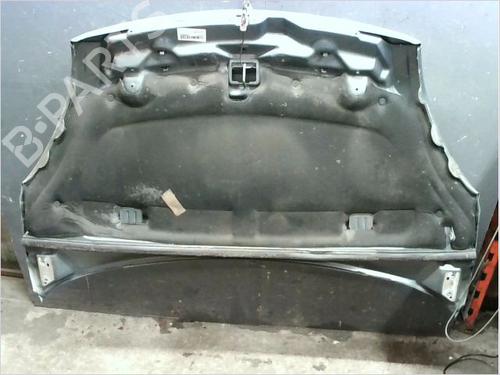 Hood CITROËN XSARA PICASSO (N68) 1.6 HDi | BP23114540C1 