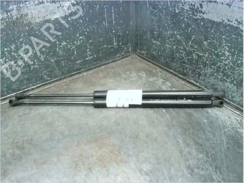 Used Tailgate lift support RENAULT SCÉNIC III (JZ0/1_) 1.5 dCi (106 hp) 14873624