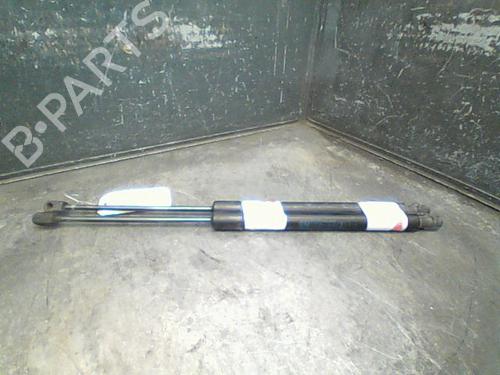 Tailgate lift support OPEL ZAFIRA / ZAFIRA FAMILY B (A05) 1.9 CDTI (M75) | BP14873541C138 
