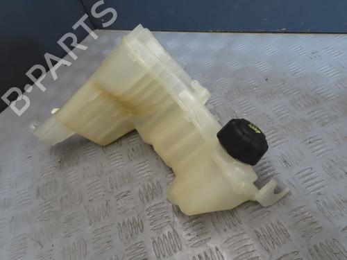 Used Expansion tank RENAULT LAGUNA III (BT0/1) 1.5 dCi (BT00, BT0A, BT0T, BT1J) (110 hp) 19123388