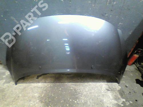 Used Hood PEUGEOT 207 (WA_, WC_) 1.6 HDi (92 hp) 10764067