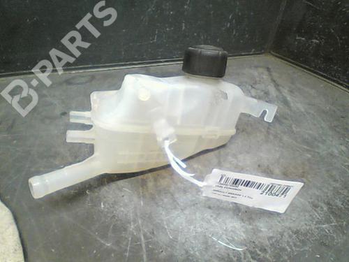 Used Expansion tank RENAULT MEGANE III Hatchback (BZ0/1_, B3_) 1.2 TCe (BZ2B, BZ11) (116 hp) 10759275