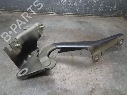 Used Hinge/Door check strap RENAULT LAGUNA III (BT0/1) 1.5 dCi (BT00, BT0A, BT0T, BT1J) (110 hp) 16015592