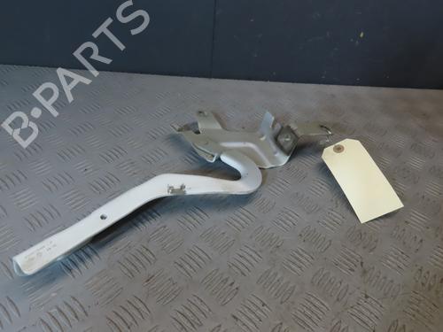 Hinge/Door check strap RENAULT CLIO IV (BH_) 1.5 dCi 75 | BP26898542C146 