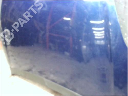 Hood FIAT GRANDE PUNTO (199_) 1.4 (199AXB11, 199AXB1A, 199BXB1A, 199AXL1A) | BP12066526C1