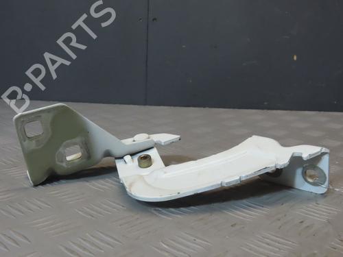 Hinge/Door check strap RENAULT KANGOO Express (FC0/1_)  | BP20695769C146 