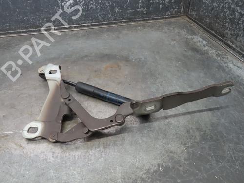 Hinge/Door check strap MINI MINI CLUBMAN (R55) One D | BP18058371C146 