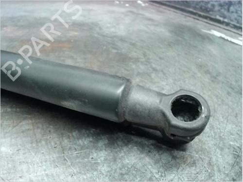 Tailgate lift support NISSAN QASHQAI / QASHQAI +2 I (J10, NJ10, JJ10E) 1.5 dCi | BP14979837C138 