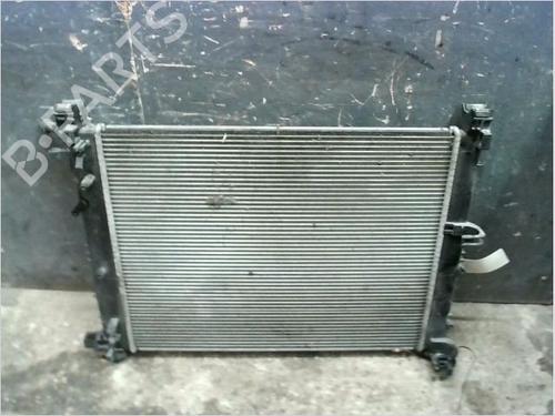 Used Water radiator Water radiator DACIA SANDERO II TCe 90 (B8M1, B8MA, B8AC) (90 hp) 14978480 14978480