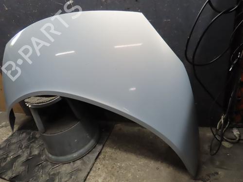 Hood RENAULT SCÉNIC II (JM0/1_) 1.5 dCi (JM02, JM13) | BP17469184C1 