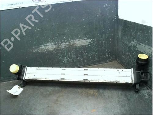 Used Other RENAULT SCÉNIC III (JZ0/1_) 1.5 dCi (106 hp) 14870525